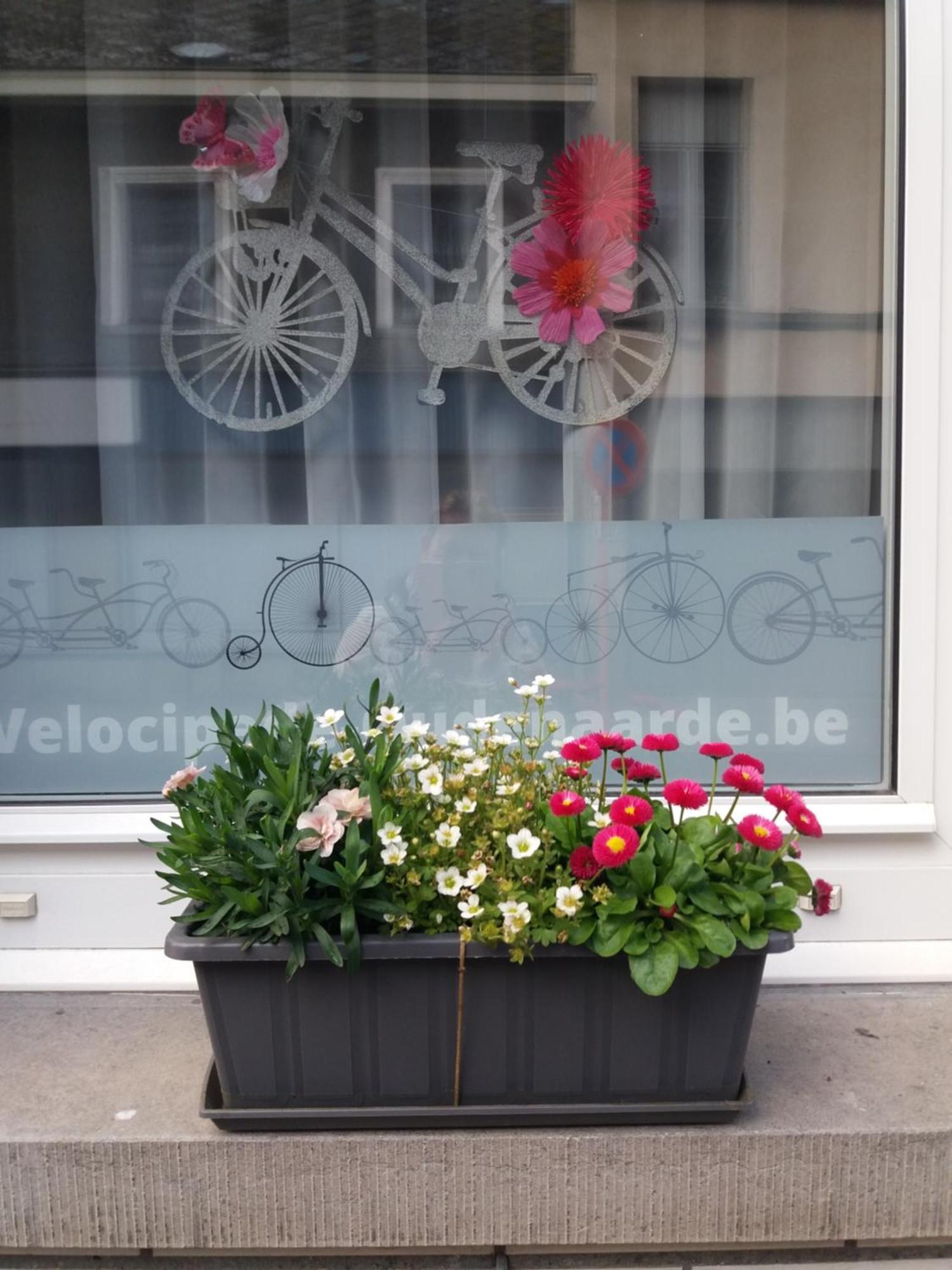 Velocipede Oudenaarde Vakantieverblijf 6 Pers (Adults Only) Esterno foto